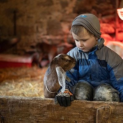 kůzlátka na farmě adnev bohemia